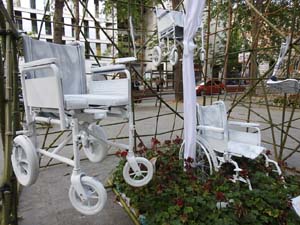 Temps de Flors 2023. Avinguda Ramon Folch