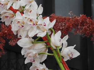 Temps de Flors 2023. Edifici F&ograve;rum