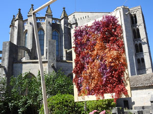 Temps de Flors 2023. Jardins de la Francesal'esdeveniment
