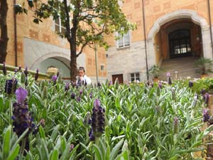 Temps de Flors 2023. Pati de les Magn&ograve;lies