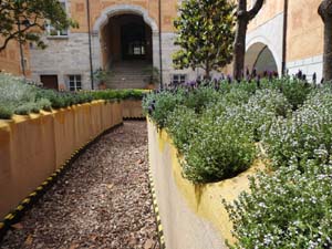 Temps de Flors 2023. Pati de les Magn&ograve;lies