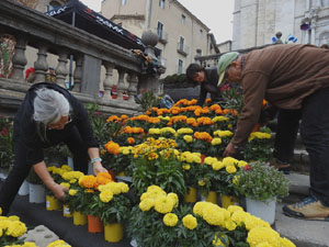 Temps de Flors 2023. Making of de l'esdeveniment