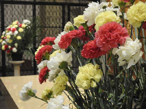 Temps de Flors 2023. Centre geri&agrave;tric Maria Gayl'esdeveniment