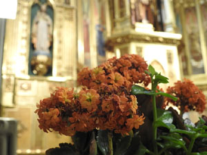 Temps de Flors 2023. Centre geri&agrave;tric Maria Gayl'esdeveniment