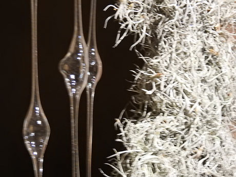 Temps de Flors 2023. Museu d'Hist&ograve;ria de Girona - La Cisterna