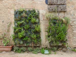 Temps de Flors 2023. Centre C&iacute;vic Can Ninetes