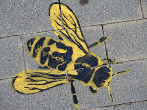 Temps de Flors 2023. Centre C&iacute;vic Can Ninetes