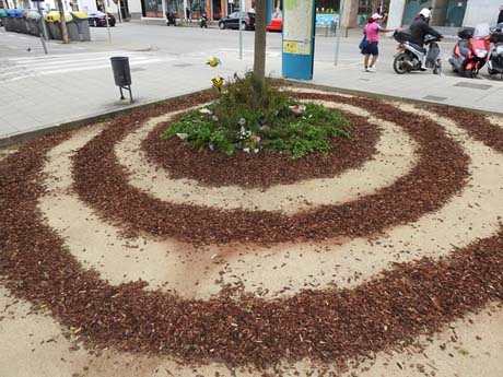 Temps de Flors 2023. Centre C&iacute;vic Can Ninetes