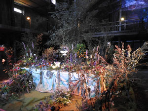 Temps de Flors 2023. Antiga Sala de Ball Odeonl'esdeveniment