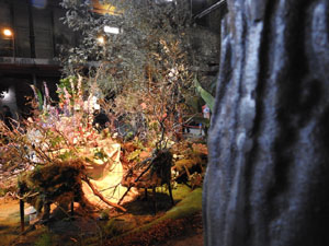 Temps de Flors 2023. Antiga Sala de Ball Odeonl'esdeveniment