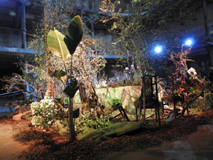 Temps de Flors 2023. Antiga Sala de Ball Odeonl'esdeveniment