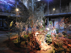 Temps de Flors 2023. Antiga Sala de Ball Odeonl'esdeveniment