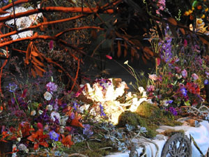 Temps de Flors 2023. Antiga Sala de Ball Odeonl'esdeveniment