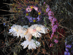 Temps de Flors 2023. Antiga Sala de Ball Odeonl'esdeveniment