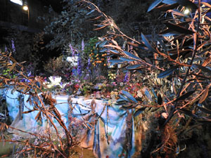 Temps de Flors 2023. Antiga Sala de Ball Odeonl'esdeveniment