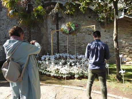 Temps de Flors 2023. Passeig Arqueol&ograve;gic. Sortida claustre de la Catedral
