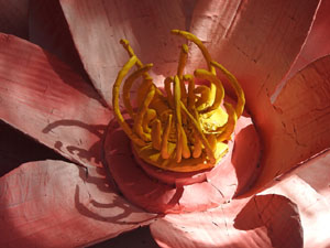 Temps de Flors 2023. Passeig Arqueol&ograve;gic. Mirador dalt