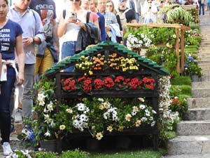 Temps de Flors 2023. Escales de la Mare de D&eacute;u de la Pera