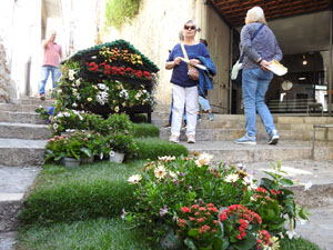 Temps de Flors 2023. Escales de la Mare de D&eacute;u de la Pera