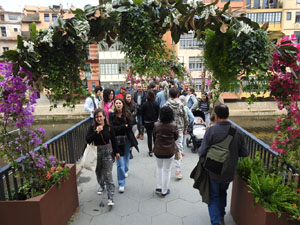 Temps de Flors 2023. Pont de Sant Agust&iacute;l'esdeveniment