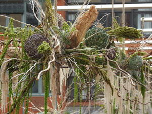 Temps de Flors 2023. Pont de les Peixateries Vellesl'esdeveniment
