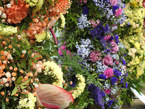 Temps de Flors 2023. Inici de la Rambla de la Llibertatl'esdeveniment