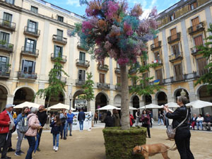 Temps de Flors 2023. Pla&ccedil;a de la Independ&egrave;ncia