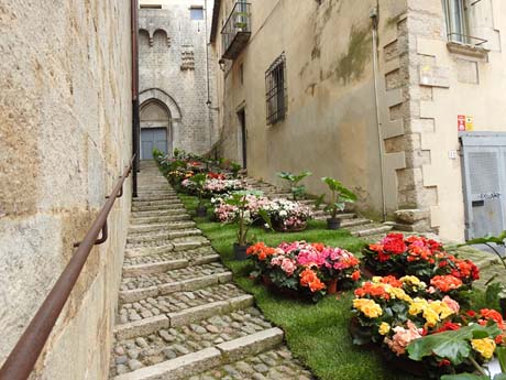Temps de Flors 2023. Bas&iacute;lica de Sant Feliu - escalinata nord