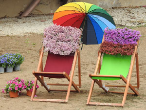 Temps de Flors 2023. Avinguda Sant Francesc - inici (parterre)l'esdeveniment