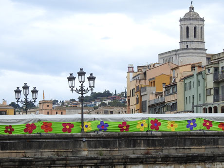 Temps de Flors 2023. Avinguda Sant Francesc - inici (parterre)