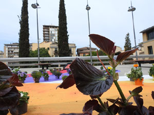 Temps de Flors 2023. Plaça Jacint Verdaguer (dalt)l'esdeveniment