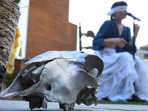 Cicle A prop 2024. Cinta