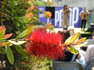 Cicle A prop 2024. Foresta