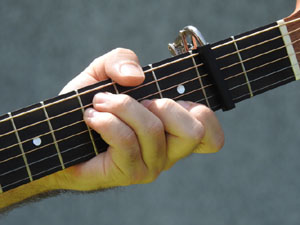 Cicle A prop 2024. Foresta