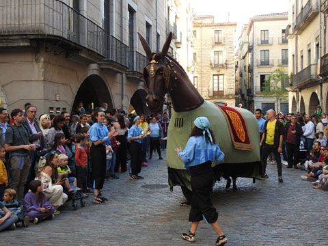 La Mulassa de Tarragona a la plaça del Vi