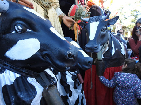 Fires de Sant Narcís 2023. XLII Trobada de Gegants i Bestiari