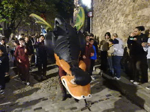 Fires de Sant Narcís 2024. Drakofarra amb Fal·lera Gironina