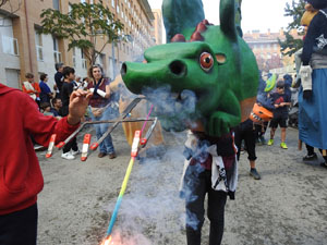 Fires de Sant Narc&iacute;s 2024. XLIII Trobada de Gegants i Bestiari