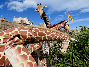 XII Jornada de l'Esport Femen&iacute; 2024 a la pla&ccedil;a Salvador Espriu i la de Francesc Calvet i Rubalcaba