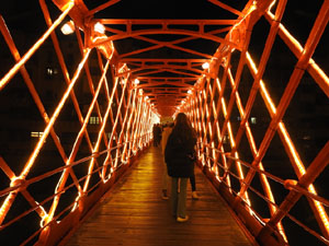 Nadal 2023. Els llums de Nadal