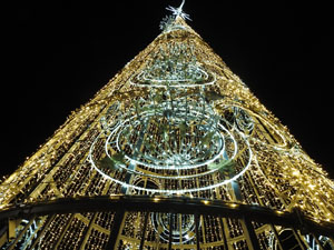 Nadal 2023. Els llums de Nadal