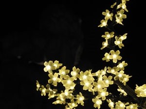 Nadal 2023. Els llums de Nadal