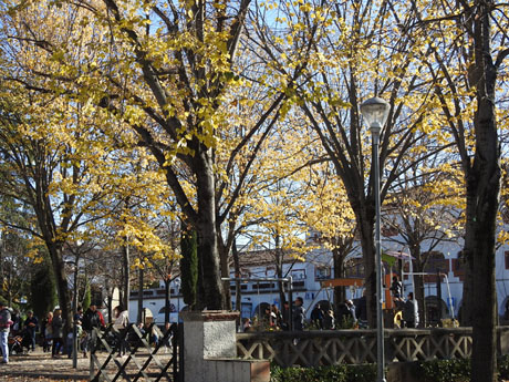 Nadal 2023. Tions a Sant Narc&iacute;s