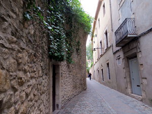 El carrer del Portal Nou
