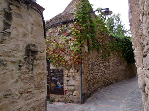 El carrer del Portal Nou