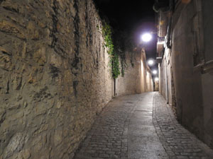 El carrer del Portal Nou