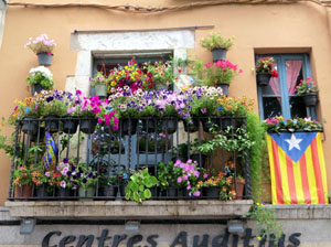 Temps de Flors 2024. Altres instal·lacions