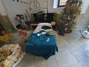 Temps de Flors 2024. Altres instal·lacions