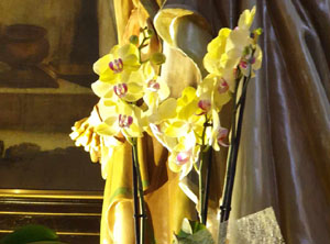 Temps de Flors 2024. Altres instal·lacions