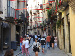 Temps de Flors 2024. Carrer Ballesteries